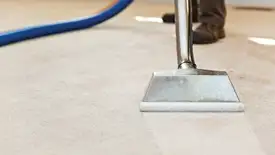 Carpet cleaning wand head gliding over a light carpet during hot-water extraction, Henderson, NV.